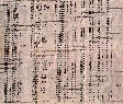 1977 matric results.JPG