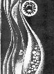 1979 review front cover.JPG
