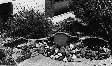 1979 The great lakes of SHS.JPG